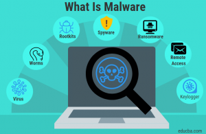 What is malware